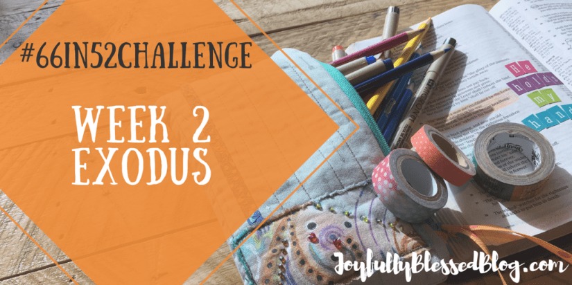 Week 2 - Exodus