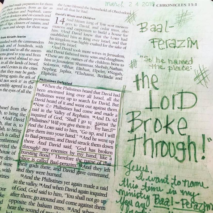 29512828_347909349049548_7093191658095027253_n